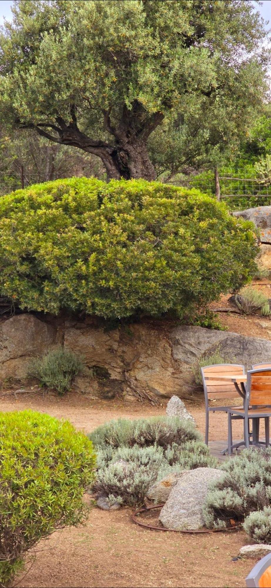 Hotel Cala Di L'Oru LʼÎle-Rousse 외부 사진