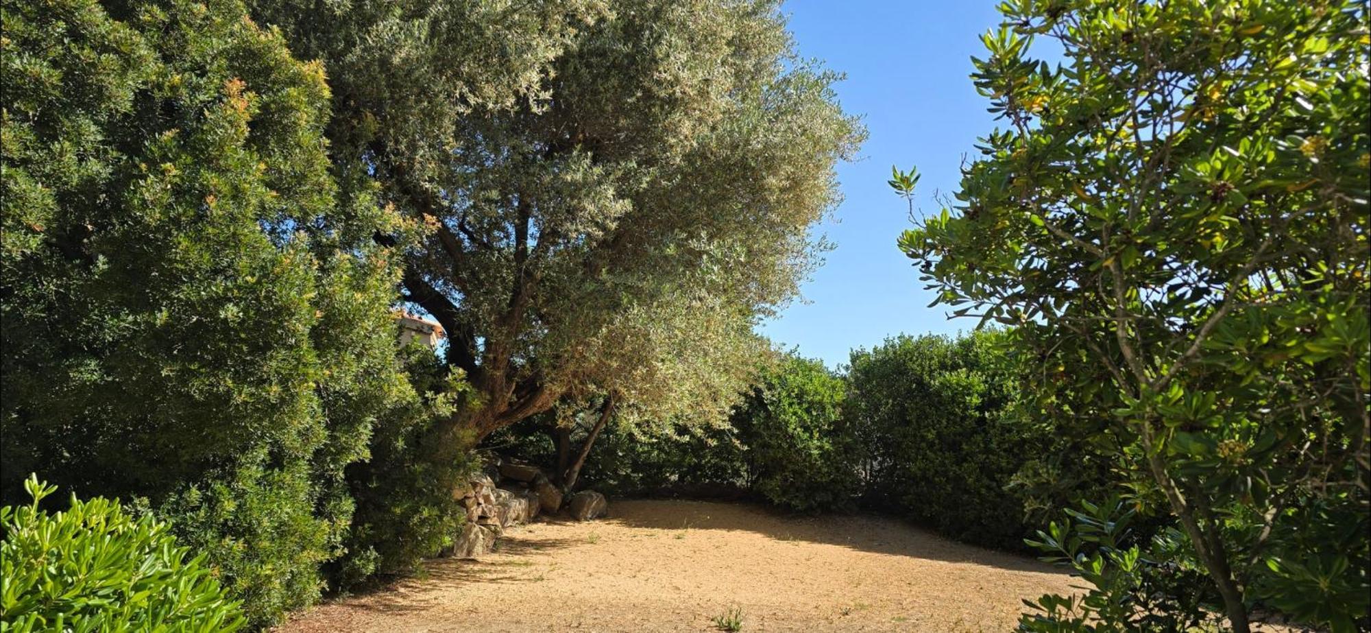 Hotel Cala Di L'Oru LʼÎle-Rousse 외부 사진