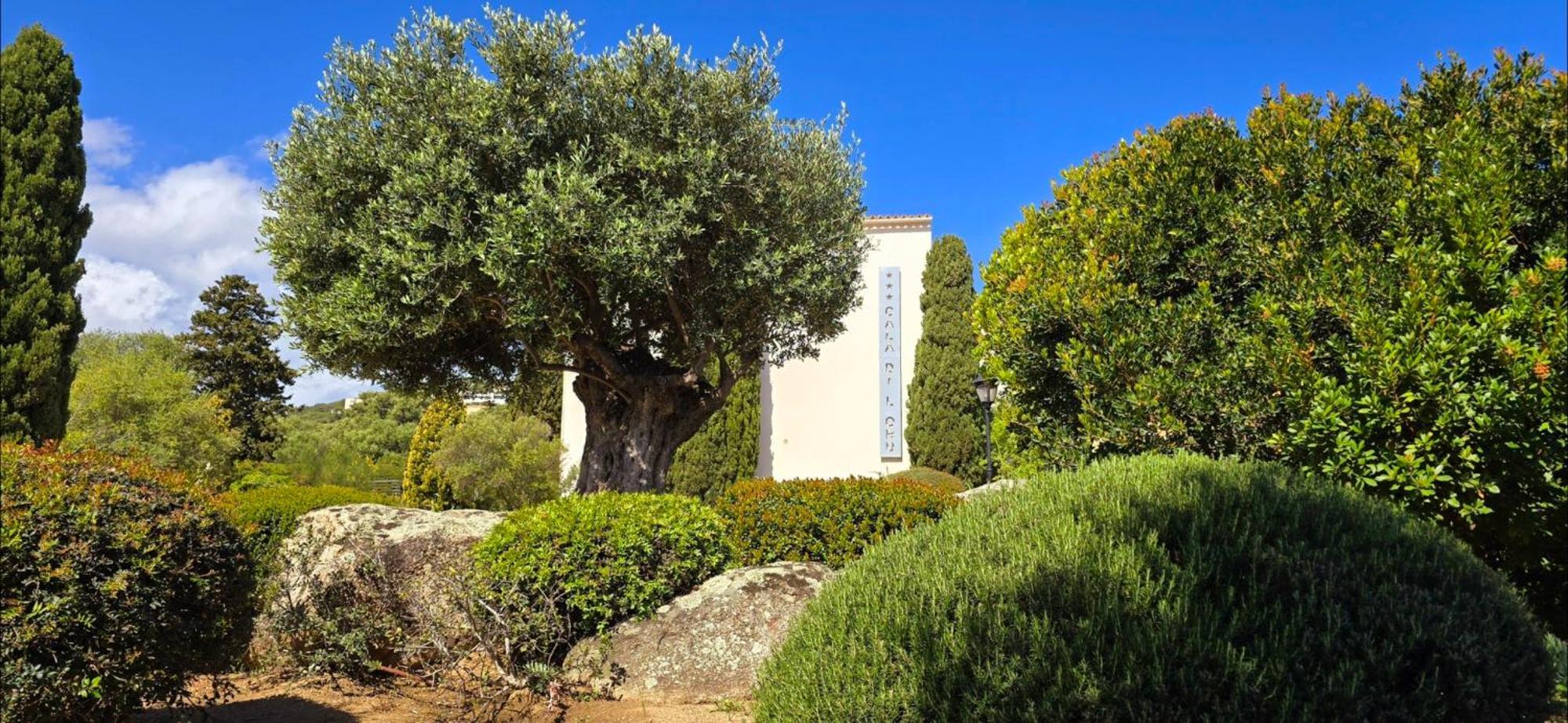 Hotel Cala Di L'Oru LʼÎle-Rousse 외부 사진
